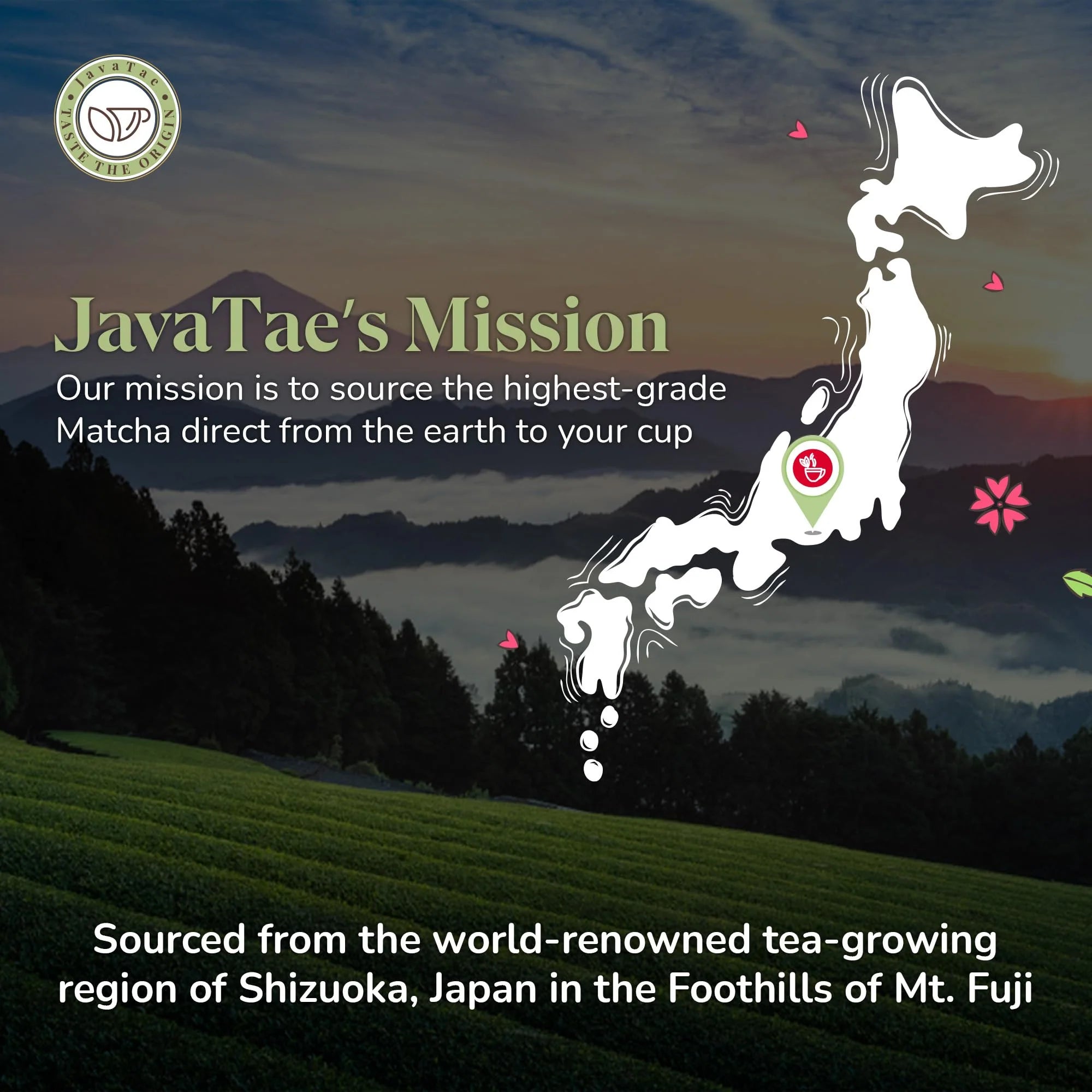 Superior Ceremonial Grade Matcha Powder